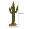 Decoratieve Bloemen 1PC Geëmuleerd Micro Cactus Model Landschap Zand Tafelornament