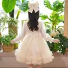 Filles printemps et automne enfants Style occidental anniversaire princesse robe bébé Tutu jupe à manches longues 240311