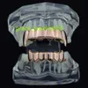 Hip Hop Schmuck Zähne Grillz Für Zähne Oben Unten Groll Set Messing Silber Rosévergoldet Vampirzähne Beste Geschenke für Weihnachten