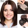 Toppers cheveux humains Topper pour femmes Base de soie cheveux perruques pince à cheveux Toppers cheveux raides remplacement femme cheveux prothèse cheveux naturels