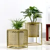 装飾的な置物ノルディックライトラグジュアリーゴールドホロードフラワーポットクリエイティブファッションバルコニー植物スタンドシンプルな雰囲気の屋内棚