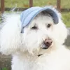 Vêtements de chien Sécurité Chiens Casquettes de baseball avec corde de menton extensible Mode Cool Chats Chapeau Pet Protège Débarrasser