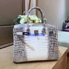 Tygväskor Himalaya Crocodile Handbag äkta Himalayan Nile Crocodile Skin Platinum Womens Handbag Have Logo Hbtpoy