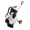 AIDS Desktop Neuheit Golf Club Stifte und Golfbeutelhalter Golfer Geschenk