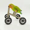 Andere Vogelzubehörteile Fahrradspielzeug Papageientraining für Nymphensittiche Sittiche Mini Metall 4-Räder Fahrrad Fußtraining