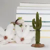 Kwiaty dekoracyjne 2PCS Artificial Cactus Symulacja roślinna pulpit fałszywy ozdoba dekoracyjna