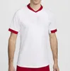 Polands 2024 Lewandowski Soccer Jerseys Men Kids Kit Polonia 2025 Zielinski Milik Zalewski Szymanski Polish Football Shirt polen oniform Boy 24 25 Pologne Bednarek