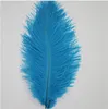 Party Decoration 100pcs Pink Ostrich Feathers Red Wedding Favor Birthday Feather Wall Backdrops