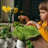 Dekorativa blommor Simulerade mossa torv konstgjord för bonsai dekor falska simulering diy projekt hantverk