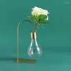 花瓶クリエイティブ水耕植物透明電球ガラス花瓶容器リビングルームモダンデコレーション小説飾り