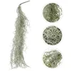 Dekorativa blommor Simulerade hängande Vine Moss Fake Air Plants Wedding Decorations Micro-Landscape Glass