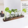 Vazen Eenvoudige Glazen Vaas Houten Basis Hydrocultuur Noord-Europa Desktop Decorat Kantoor Diversiteit Groene Plant Kleine Ingemaakte 3/5 stuks