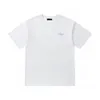 Herren Plus Tees Polos Rundes T-Shirt in Übergröße mit besticktem und bedrucktem Halsausschnitt im Polar-Stil für den Sommer mit Street-Style aus reiner Baumwolle 242r