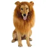 Vêtements de chien Pet Lion Perruque Costume Chat Couvre-chef Petit chapeau Coiffe drôle pour Po Shoots Cospaly Party