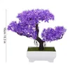 Fiori decorativi Pino artificiale Bonsai Simulazione Fiore Fiore Pianta in vaso Ornamenti Home Office El Decorazione da tavolo