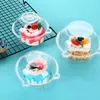 Take Out Containers 60 Pcs Cake Box Transparent Case Pastry Packing Boxes Melaleuca Plastic