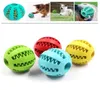 PET Dog Cat Cat Toy Rubber Shake Harking Bood Food Call مرونة تفاعلية للبطيخ شكل لدغة الكلب مقاوم لك كرة نظيفة 42394196