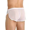 Underpants Clothes For Women Sexy Lingerie Men's Underwear Mesh Breathable Mens Negligees Stretchy Long