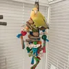 Other Bird Supplies Parrot Toys Natural Wood Chew Medium Small Chewing For Parrots Finch Budgie Cockatiels Love Birds