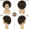 Wigs gnimegil peli sintetici anni '80 anni '80 afro sterl stert sacchetto parrucca costume costume carnival festa vestito di parrucche ricci senza baffi