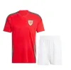 2024 25 País de Gales Futebol Jerseys Bale Wilson Allen Ramsey World National Team Cup Rodon Vokes Home Camisa de Futebol de Manga Curta Adulto Uniformes Fãs Versão do Jogador