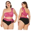 Frauen drängen Bikinis Set Badebekleidung und Größe hoher Taille Badeanzug großes Plussize -Schwimmanzüge baden Strandkleidung 240320