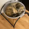 Kedi köpek yatağı evcil hayvan hamak duraklama malzemeleri tam yıkama istikrarlı yapı çıkarılabilir mükemmel nefes alabilirlik y240304