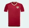 2024 2025 Venezuela Soccer Jerseys Kids Kit 24/25 National Engure Shirt Men Home Red Away White Camisetas Copa Cordova Soteldo Rincon Bello Sosa Rondon