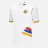 2024 Armenia soccer jerseys 22 24 adults home match jersey training uniform Men football shirts technical sportswear