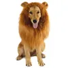 Vêtements de chien Pet Lion Perruque Costume Chat Couvre-chef Petit chapeau Coiffe drôle pour Po Shoots Cospaly Party