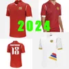 2024 아르메니아 축구 유니폼 22 24 성인 홈 경기 저지 훈련 유니폼 남성 축구 셔츠 기술 스포츠웨어