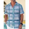 Casual overhemden voor heren 2024 Hawaiian Beach Holiday Outdoor Straat Dagelijks revers T-shirt met korte mouwen Y2k Tops Mannelijke oversized kleding
