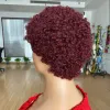 Wigs Short Curly Human Hair Wigs For Black Women Short Pixie Cut Wig Brazilian Remy Hair Spiral Curl Soft Cheap Wig Free Shipping