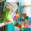 Andra fågelförsörjningar leksaker papegoja svängande foder conure leksak utformad med majsskal sepak takraw naturlig hangbar