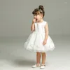 Girl Dresses Born Baby Dress Party For Girls Princess Lace Christening Gown 1 Year Birthday Clothing White Baptism