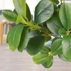 Dekorative Blumen, künstliche Ficus-Pflanzen, Zweige, Kunststoff, gefälschte Blätter, grün für Zuhause, Garten, Zimmer, Shop, Dekoration, Grün mit langem