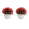 Fleurs décoratives, 2 pièces, plantes de Simulation en pot, transformant facilement les espaces, fausses herbes pour décoration, rouge vif
