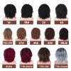 Wigs Lydia Afro Kinky Curly 18inch الاصطناعية فضفاضة الرقص الكامل المرأة المستعارة kanekalon درجة الحرارة المرتفعة الحفلة اليومية 45 سم t1b/رمادية