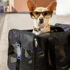 Hundhalsarrage Tillbehör Katt ID -gravering Tagga PET -leveransnamn Taggar för valpdekorativa identitetsetiketter