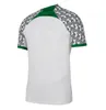 23 24 25 OKOCHA Nigeria Soccer Jerseys 2023 2024 Jerseys Maillot de Foot Okechukwu Ighalo Ahmed Musa Ndidi Mikel Iheanacho voetbal Shirts Nigerian Away Men Green