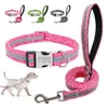 Set collare e guinzaglio per cani personalizzati Collari per animali domestici in nylon riflettente Guinzaglio con etichetta identificativa incisa per cani di piccola taglia Pitbull 240311