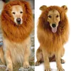 Vêtements de chien Pet Lion Perruque Costume Chat Couvre-chef Petit chapeau Coiffe drôle pour Po Shoots Cospaly Party
