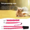Dog Apparel Pet Grooming Solution Kit With Adjustable Extension Strap Multi-functional Rope Leash For Bathing