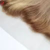 Stängningar Markera stängning av mänskliga hår spetsar frontal stängning p4/27 ombre rakt hår transparent spetsstängning brasiliansk remy hårväv