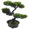 Dekorativa blommor konstgjorda krukväxter miniträd falska bonsai realistiska växter för heminredning inomhus skrivbord söt