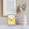 Frames Spécimen Frame Creative Pographie Showcase Rustic Wood Picture Decoration Desktop Decoration Hollow Booden