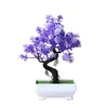 Fiori decorativi Simulazione artificiale Pianta Decorazioni per la casa Albero in vaso Bonsai Centrotavola