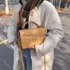 Sac de créateur sac fourre-tout sac de créateur Super sac à bandoulière unique pour femme chaîne à main sacs pour femme Lingge