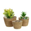 Nordic ins palha tecelagem flor planta cesta grama plantador interior ao ar livre jardim pote recipiente secreto para plantável bonsai decoração 240320