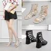 Top Roman Style Sandals High Heels Round Toe Thick Heel Shoes Women's Back Zipper Fashion Cut Out Sandal 240228